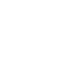 俄罗斯科学院俄罗斯文学研究所 国际化科研环境